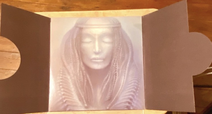 emerson-lake-palmer-brain-salad-surgery-vinyl-1973-poster-prog-rock-record-music-112-3