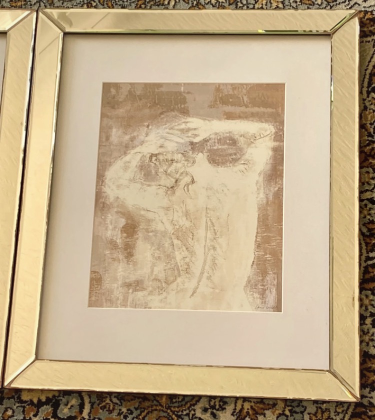 pair-of-lanie-loreth-framed-art-prints-mirrored-frames-047-3