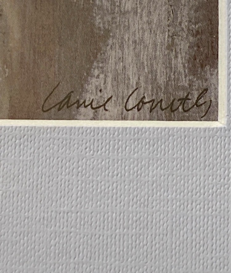 pair-of-lanie-loreth-framed-art-prints-mirrored-frames-047-4