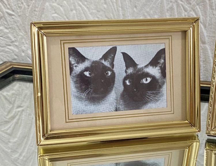 set-of-3-vintage-gold-tone-mini-cat-picture-frames-mother-s-day-gift-067-2