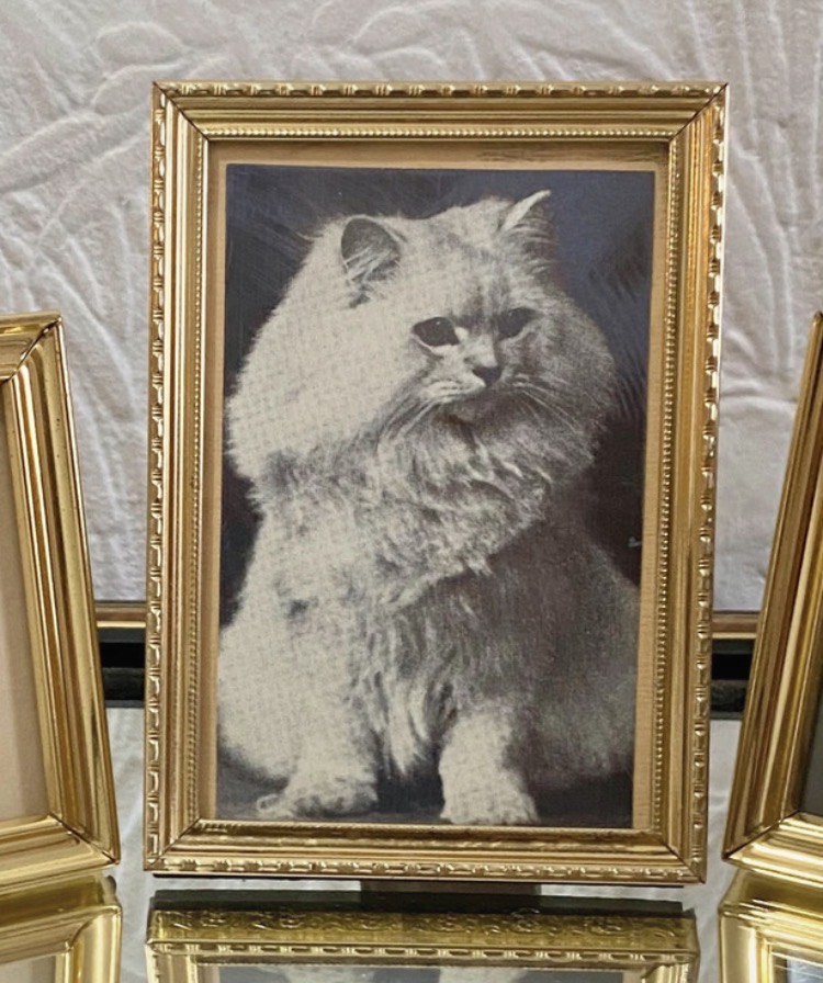 set-of-3-vintage-gold-tone-mini-cat-picture-frames-mother-s-day-gift-067-3