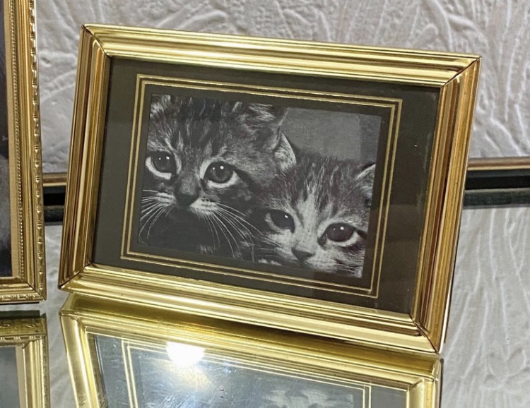 set-of-3-vintage-gold-tone-mini-cat-picture-frames-mother-s-day-gift-067-4
