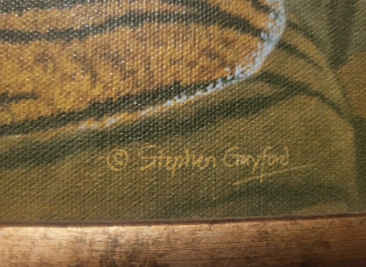 stephen-gayford-tiger-shallow-waters-2004-signed-limited-edition-print-100-3