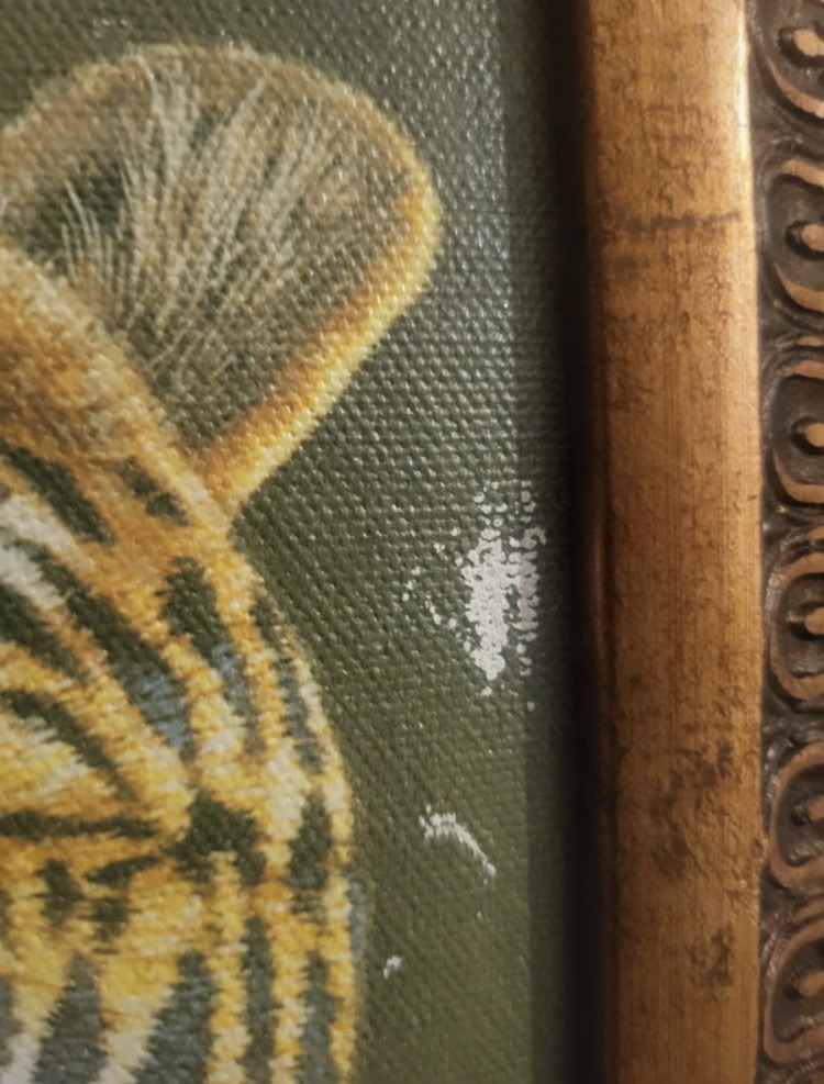 stephen-gayford-tiger-shallow-waters-2004-signed-limited-edition-print-100-5