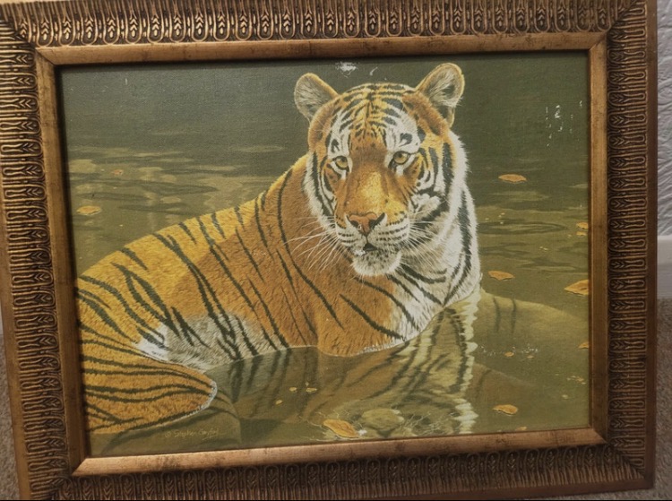 stephen-gayford-tiger-shallow-waters-2004-signed-limited-edition-print-100-9