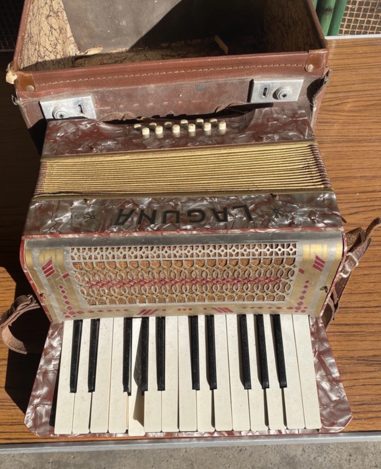 Lot 031: Vintage Laguna 12-Bass Piano Accordion – Loft Find (Spares/Repair)