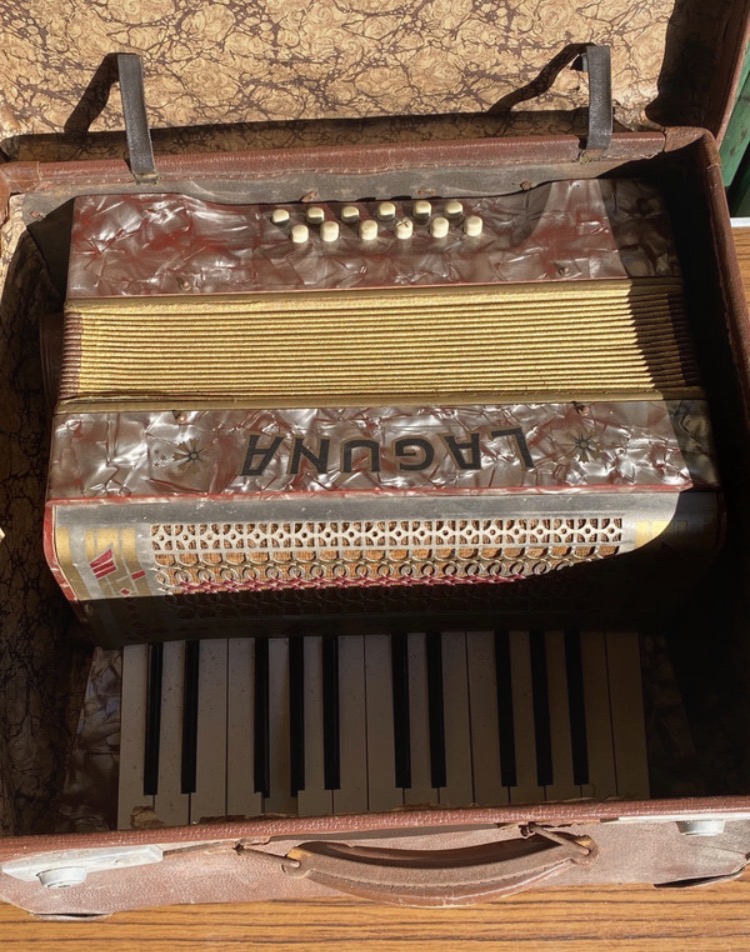 vintage-laguna-12-bass-piano-accordion-loft-find-spares-repair-031-3