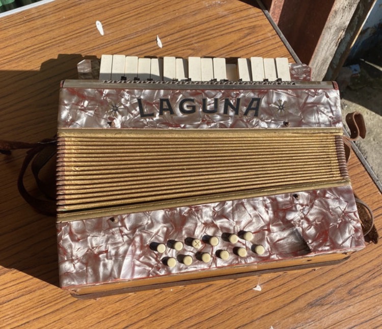 vintage-laguna-12-bass-piano-accordion-loft-find-spares-repair-031-4