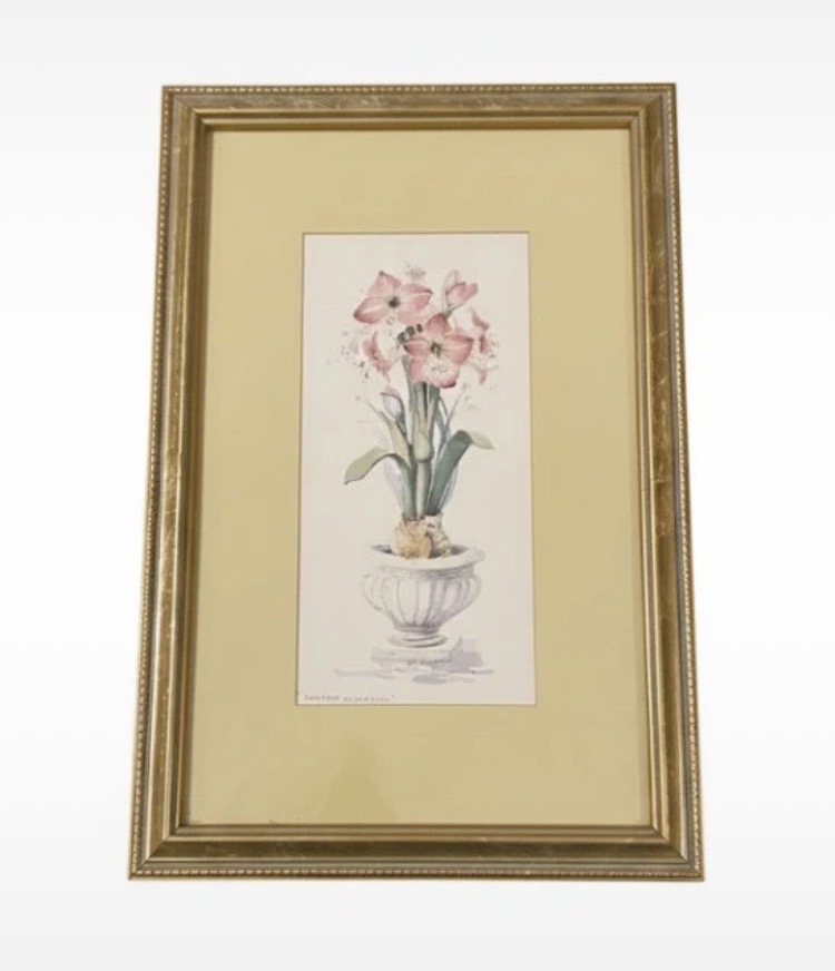 Lot 275: Vintage Marilyn Simandle Framed Botanical Print - "Potted Amaryllis" Gold Gilt Frame